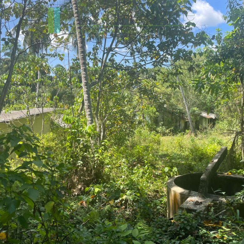 Large plot with old three houses in Dikkumbura