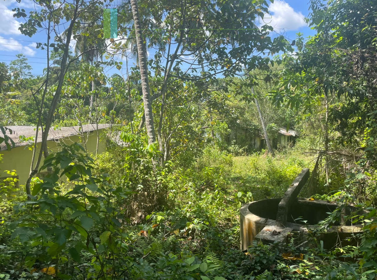 Large plot with old three houses in Dikkumbura