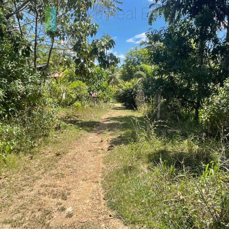 Large plot with old three houses in Dikkumbura