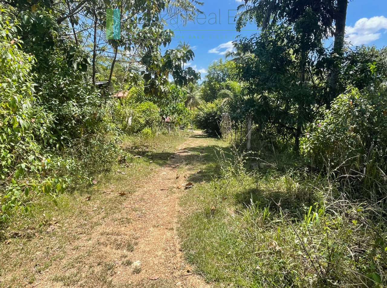 Large plot with old three houses in Dikkumbura