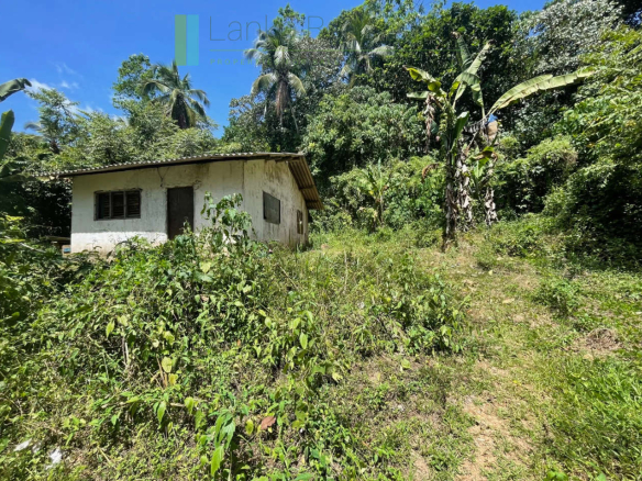 Large plot with old three houses in Dikkumbura