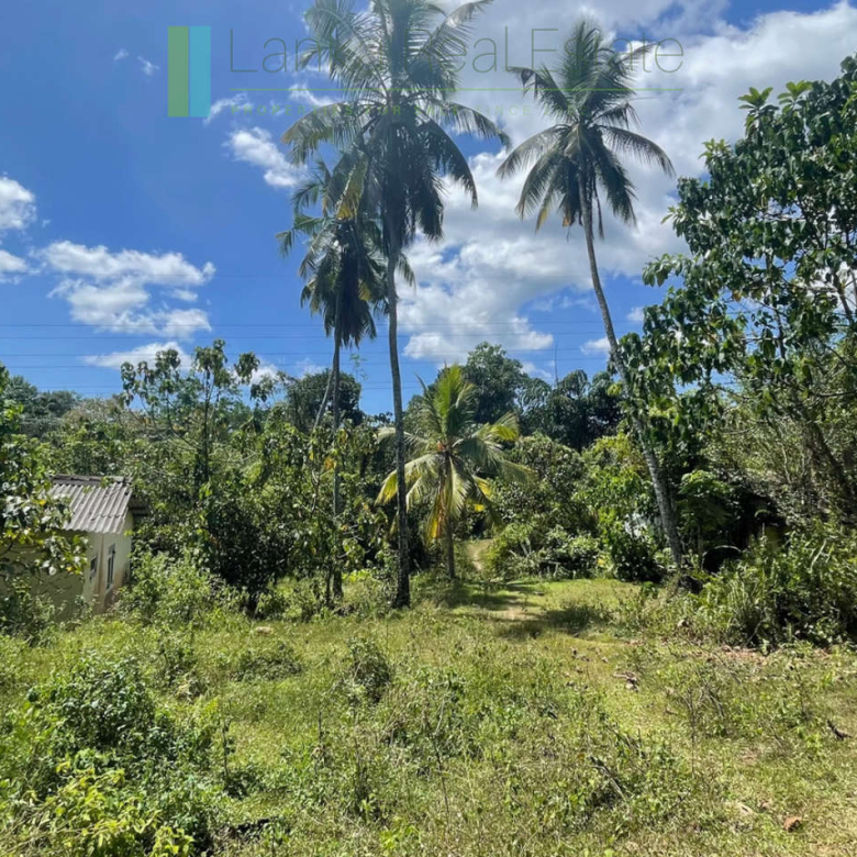 Large plot with old three houses in Dikkumbura