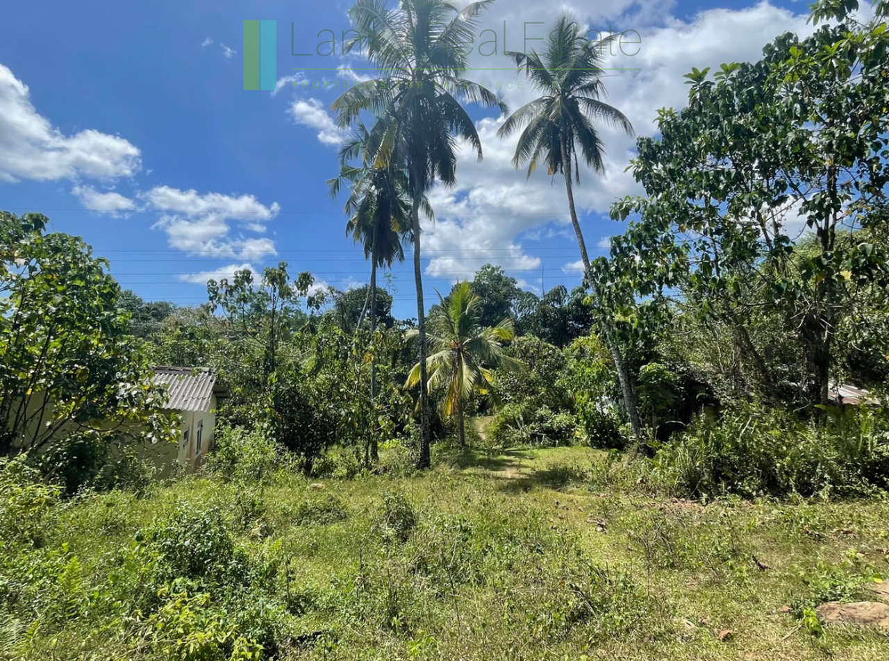 Large plot with old three houses in Dikkumbura
