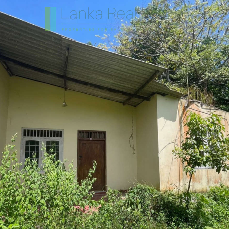 Large plot with old three houses in Dikkumbura