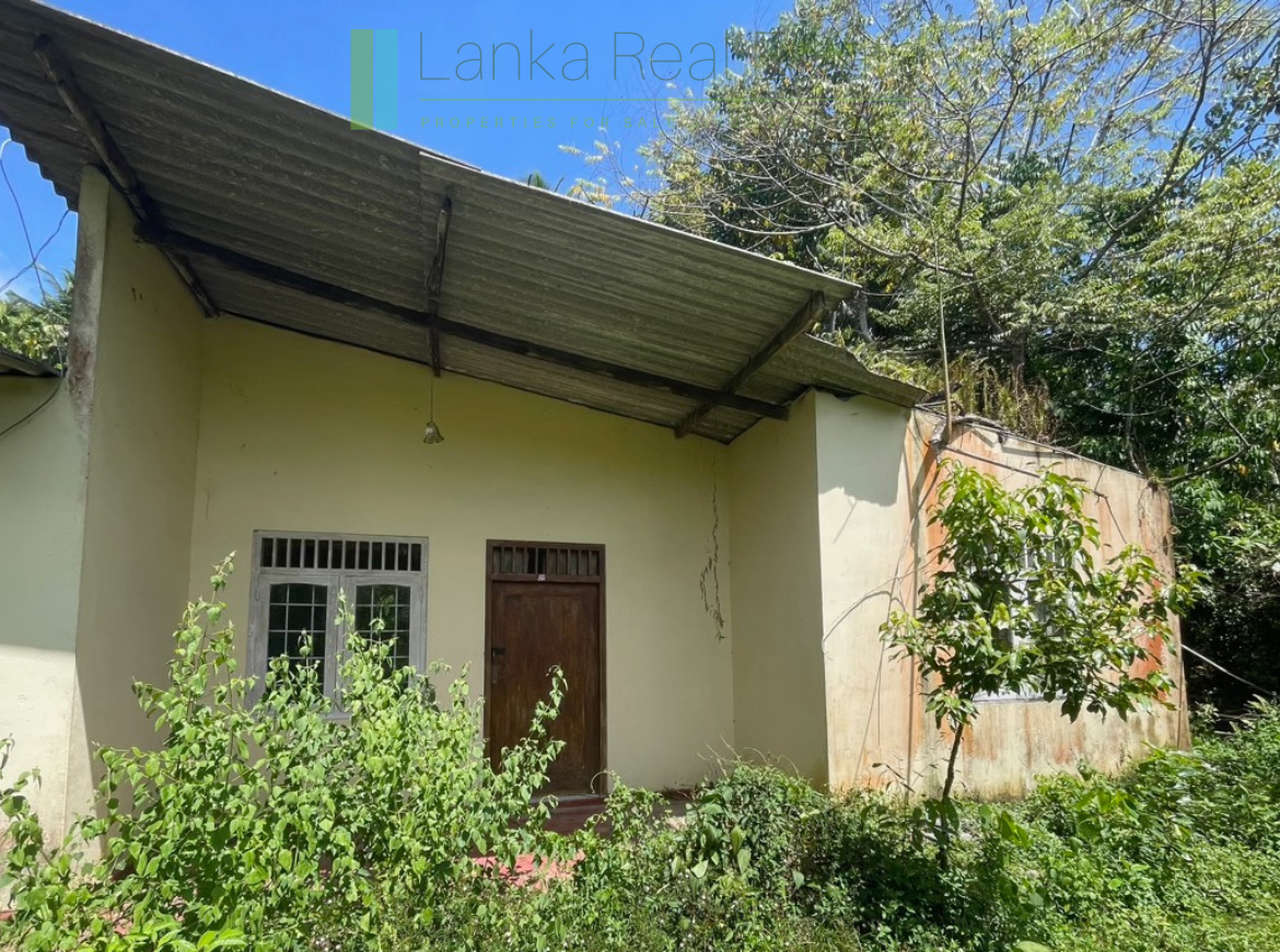 Large plot with old three houses in Dikkumbura
