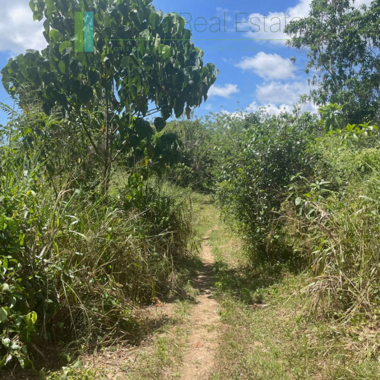 Large plot with old three houses in Dikkumbura