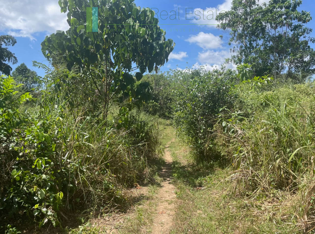 Large plot with old three houses in Dikkumbura