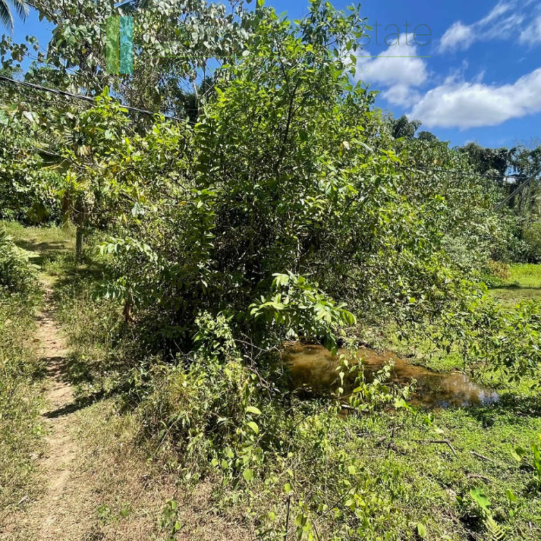 Large plot with old three houses in Dikkumbura
