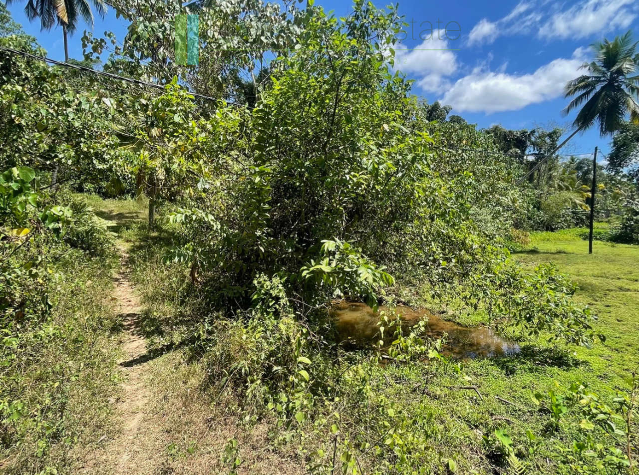 Large plot with old three houses in Dikkumbura