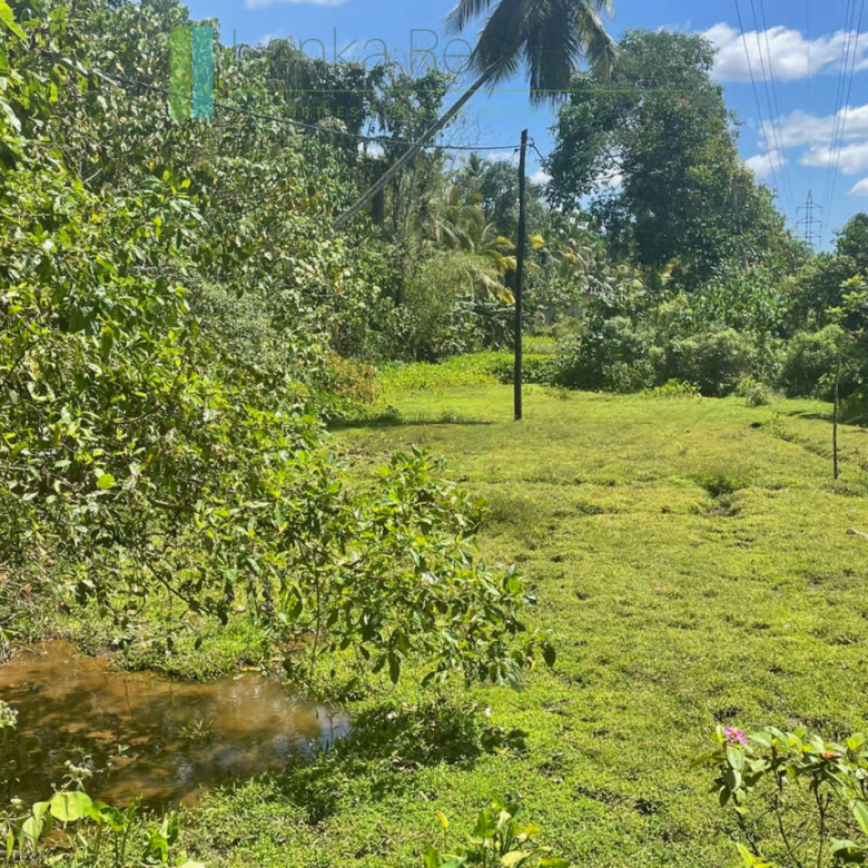Large plot with old three houses in Dikkumbura