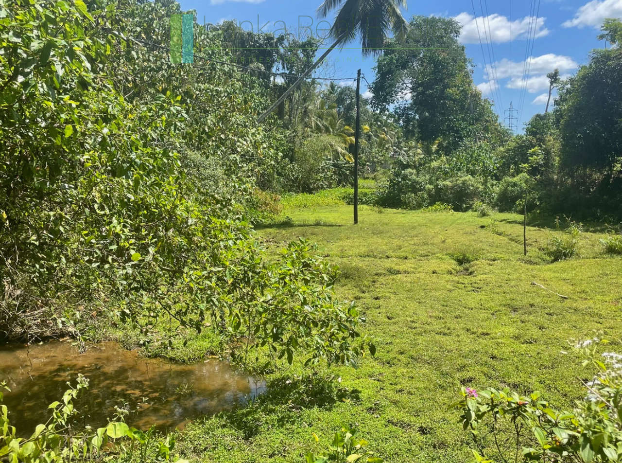 Large plot with old three houses in Dikkumbura