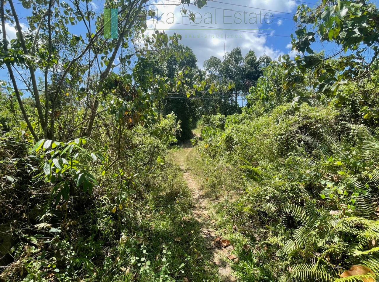 Large plot with old three houses in Dikkumbura