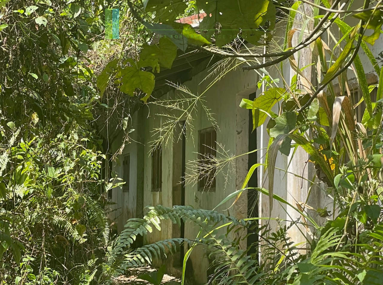 Large plot with old three houses in Dikkumbura