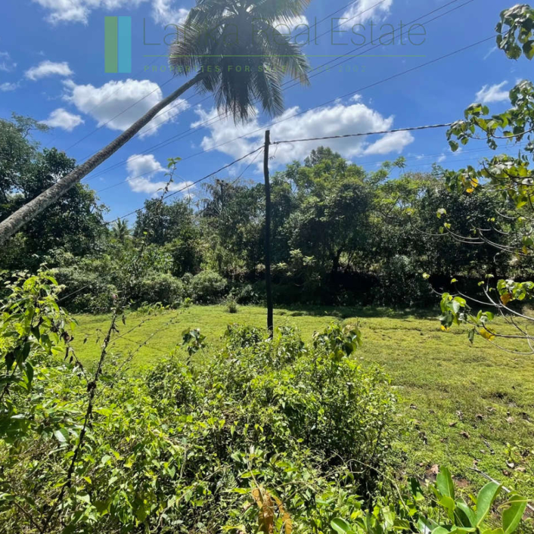 Large plot with old three houses in Dikkumbura