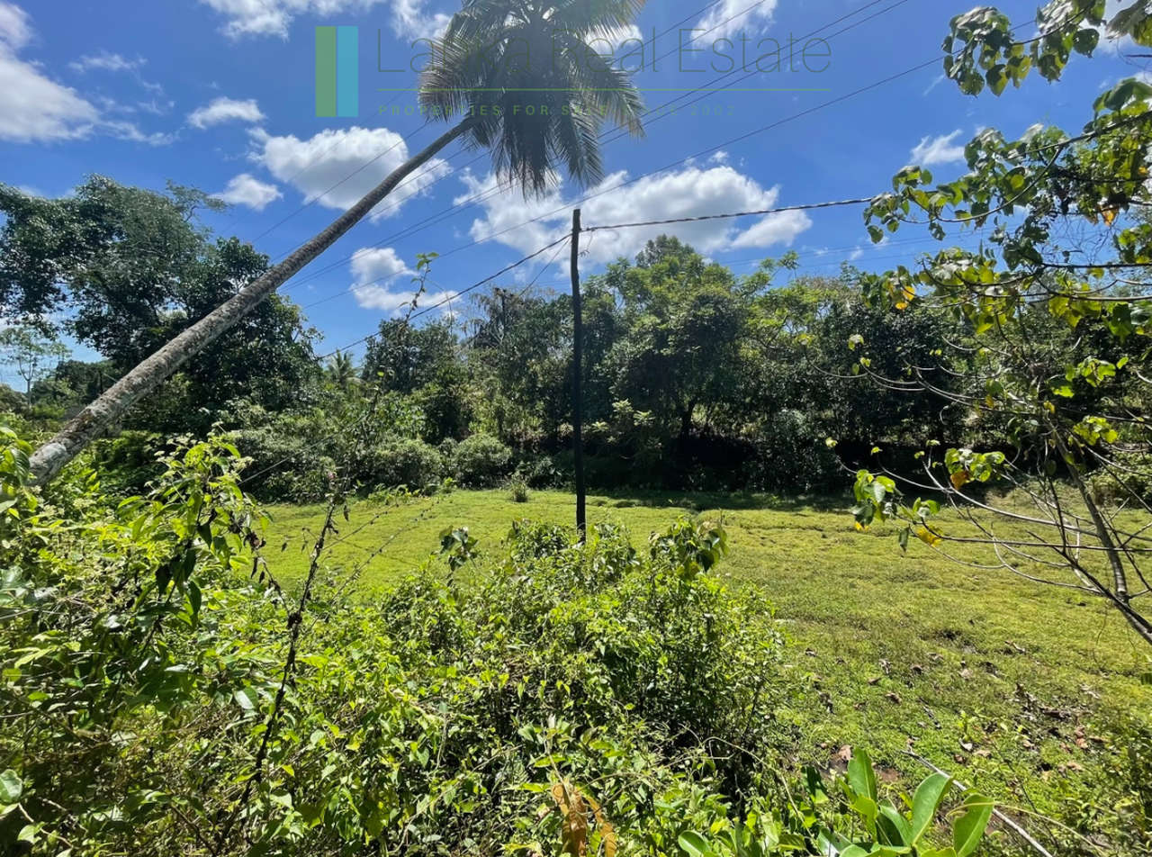 Large plot with old three houses in Dikkumbura