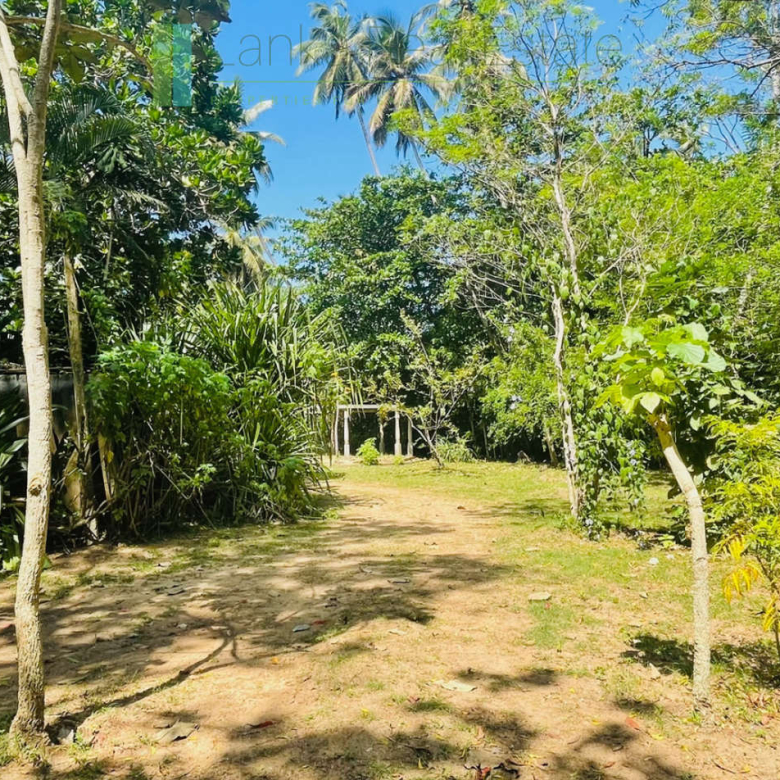 Secluded oceanfront hideaway on Mawella Beach