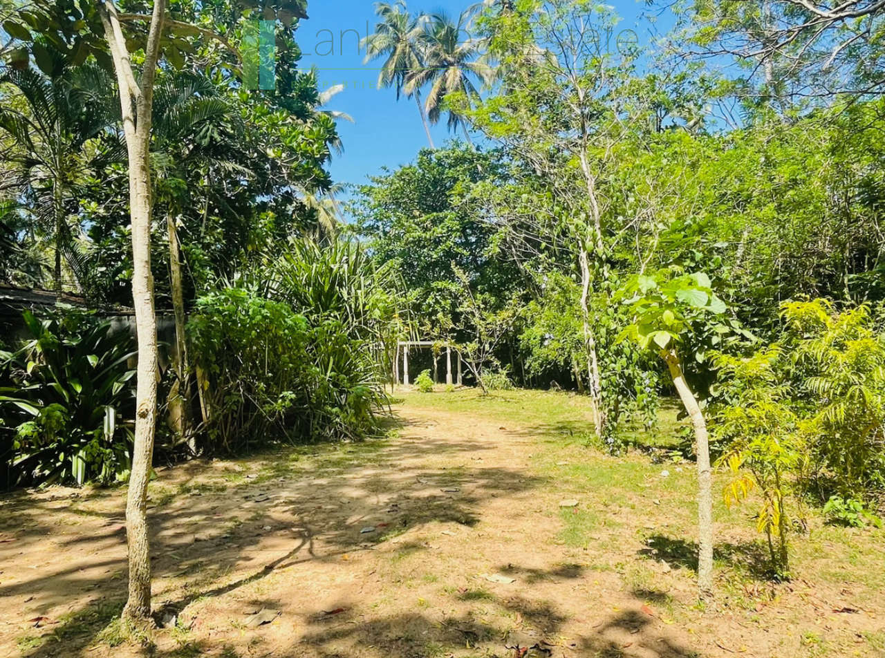 Secluded oceanfront hideaway on Mawella Beach