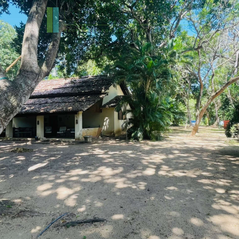 Secluded oceanfront hideaway on Mawella Beach