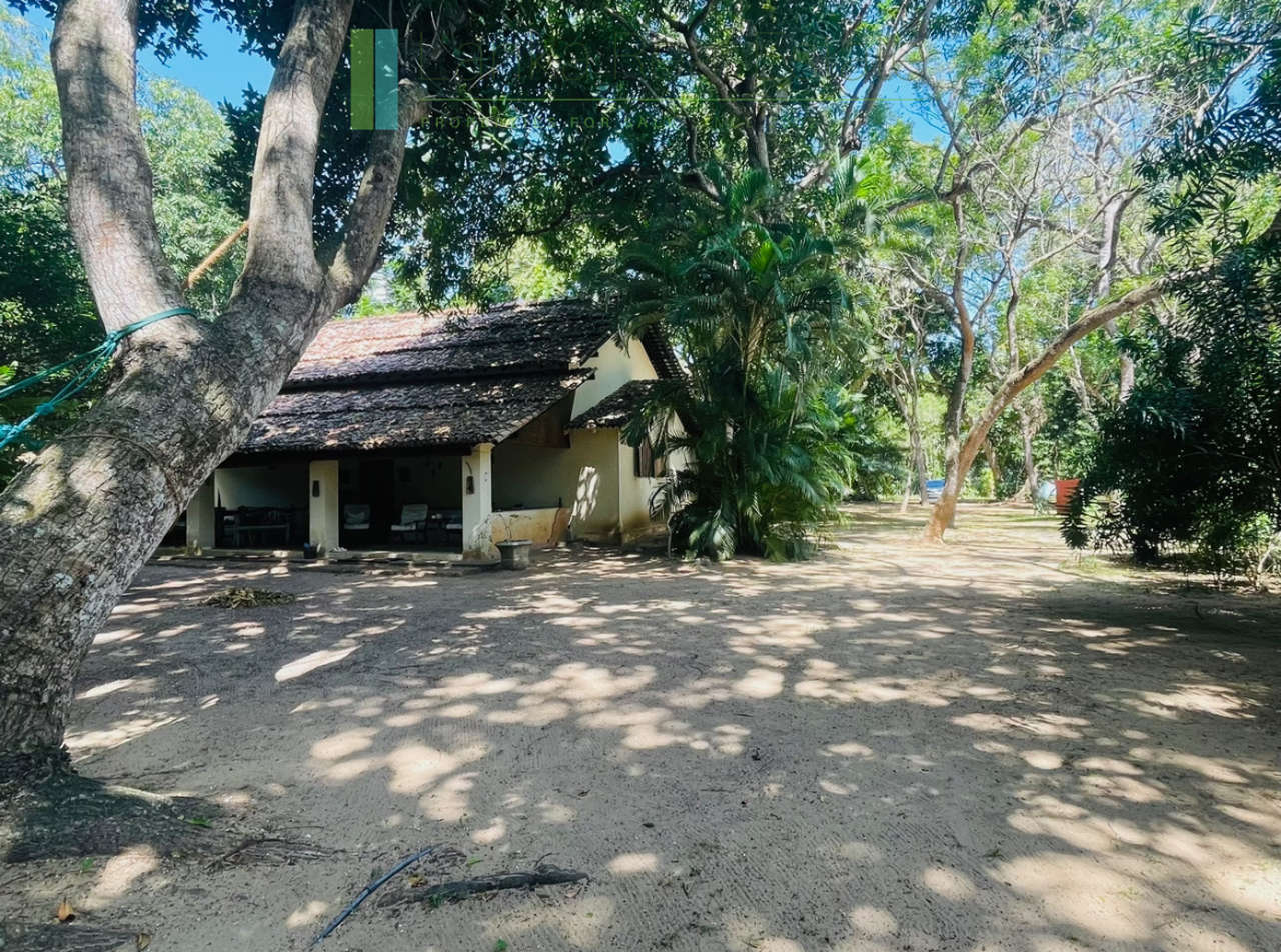 Secluded oceanfront hideaway on Mawella Beach