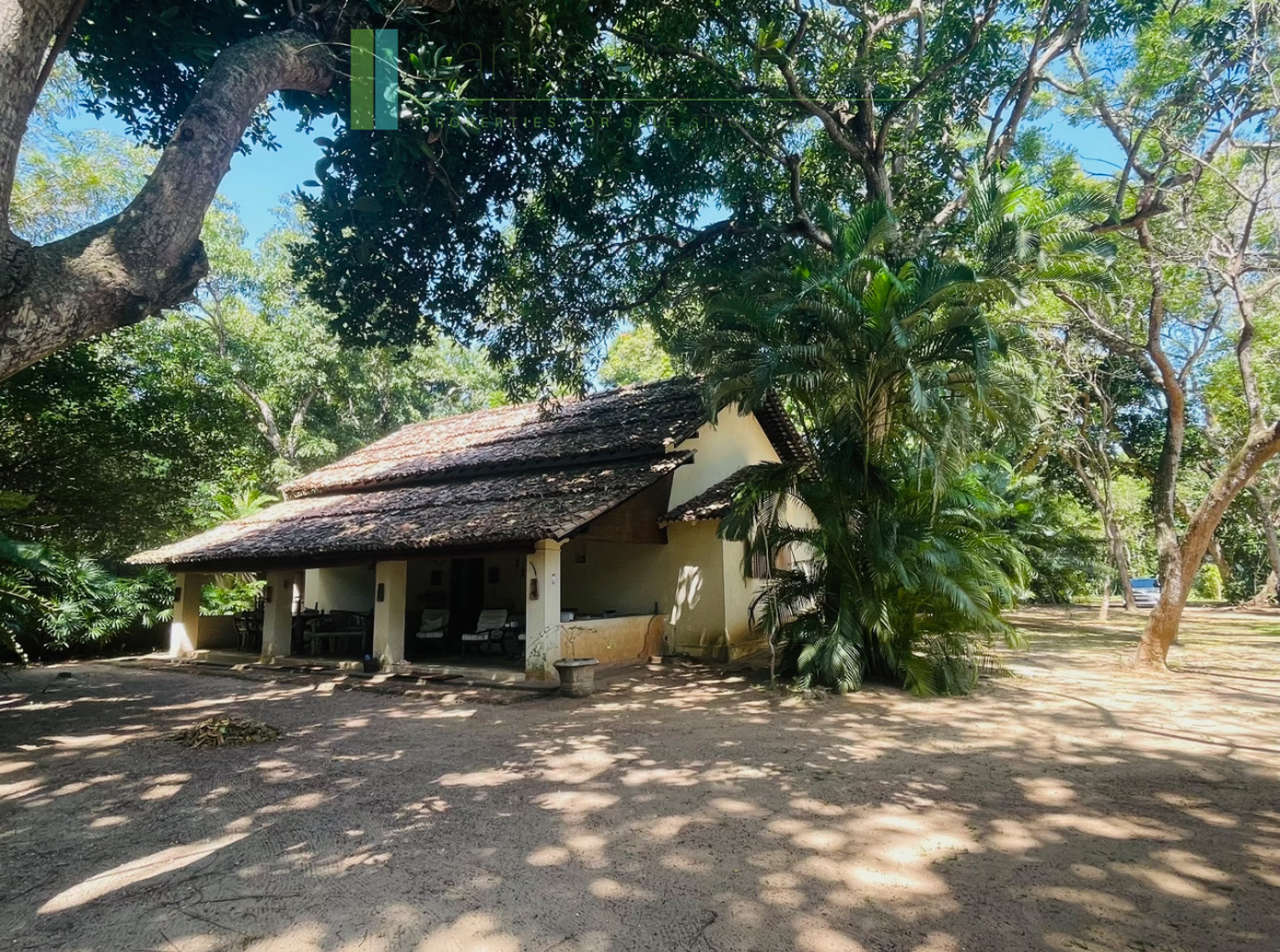 Secluded oceanfront hideaway on Mawella Beach
