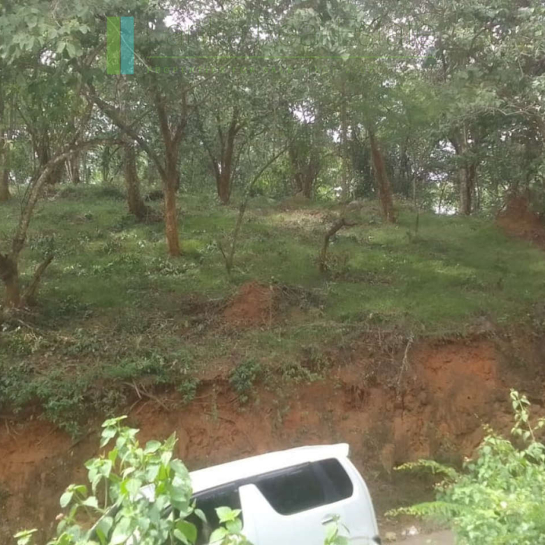 Elevated plot overlooking the ocean at Mawella