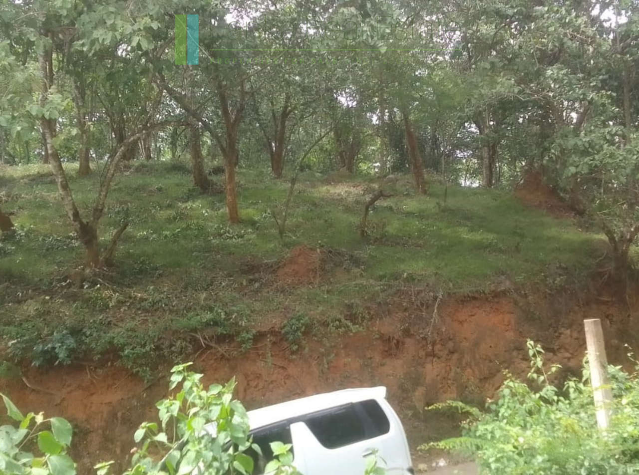 Elevated plot overlooking the ocean at Mawella