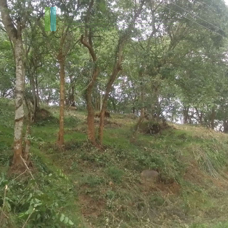 Elevated plot overlooking the ocean at Mawella