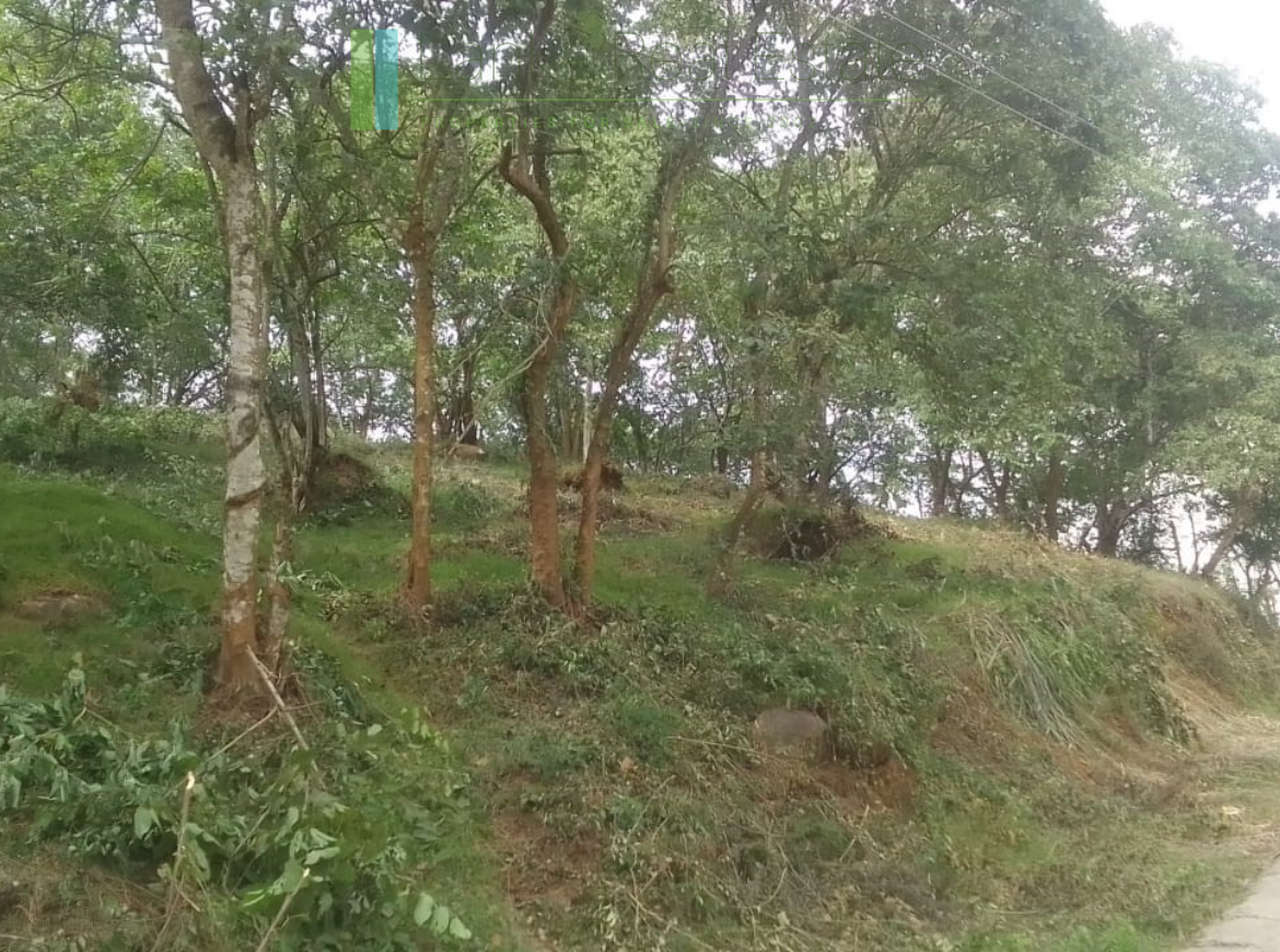 Elevated plot overlooking the ocean at Mawella