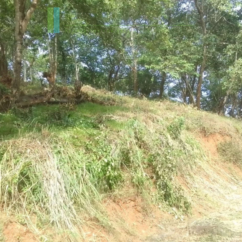Elevated plot overlooking the ocean at Mawella