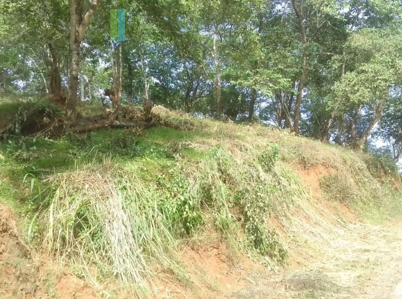 Elevated plot overlooking the ocean at Mawella