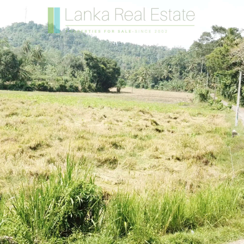 Attractive heritage house near Koggala