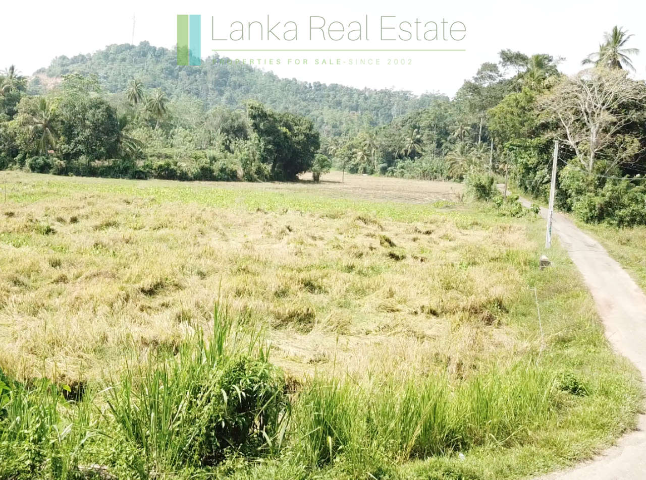 Attractive heritage house near Koggala