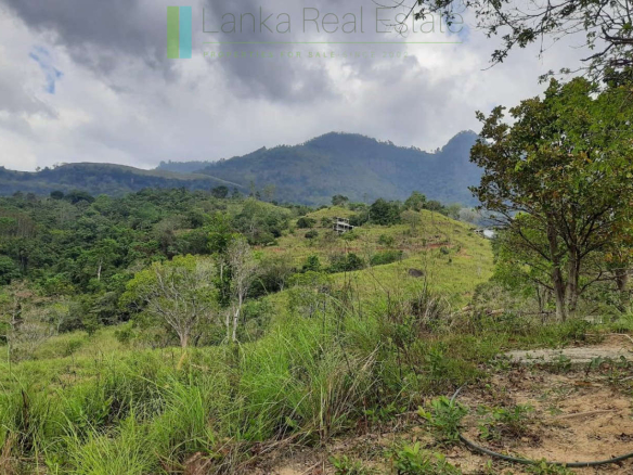 Twenty-five hill country acres with sweeping views
