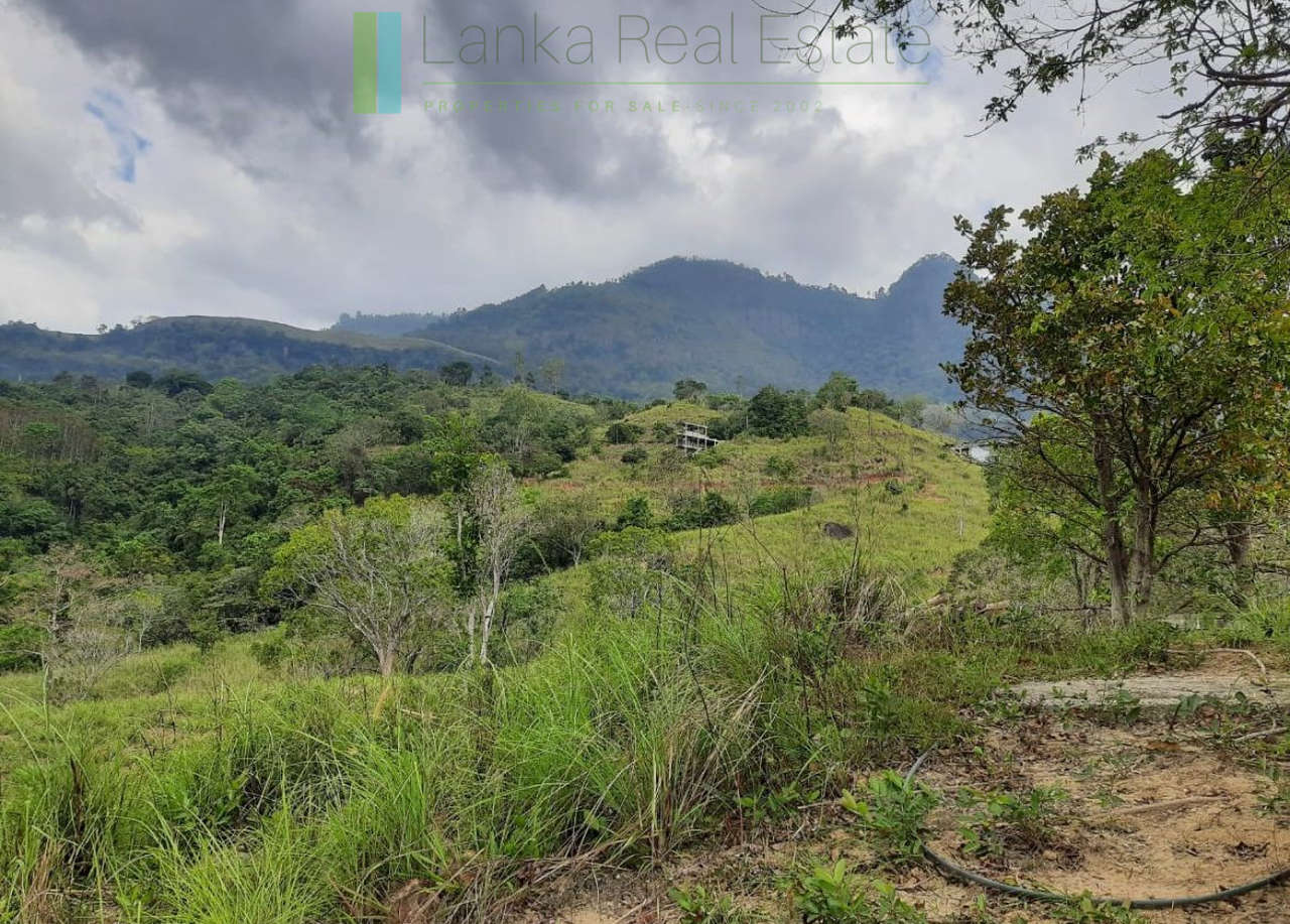Twenty-five hill country acres with sweeping views