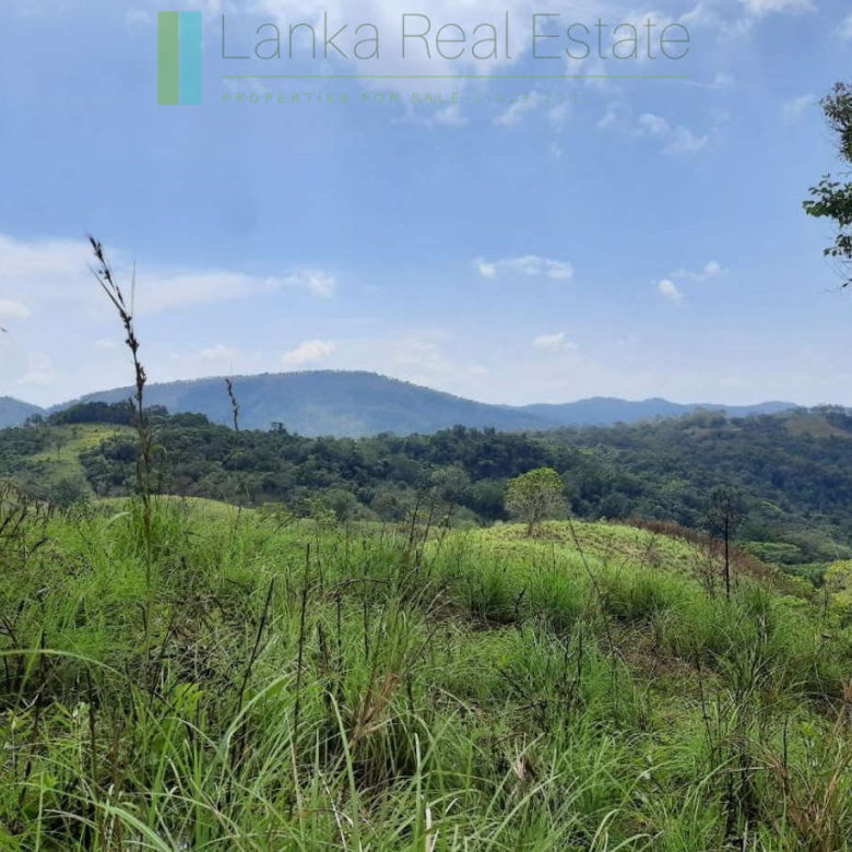 Twenty-five hill country acres with sweeping views