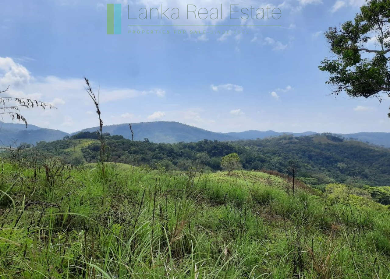 Twenty-five hill country acres with sweeping views