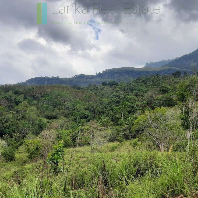 Twenty-five hill country acres with sweeping views