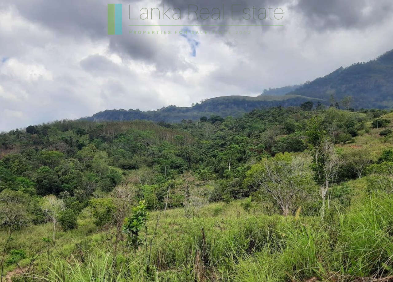 Twenty-five hill country acres with sweeping views