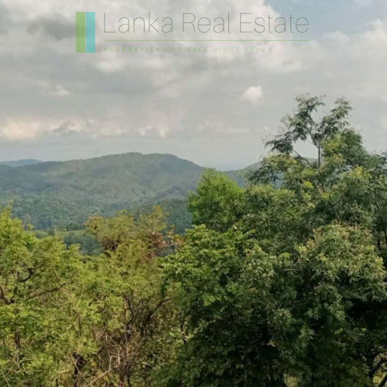 Stone built house on 10 acres in hill country