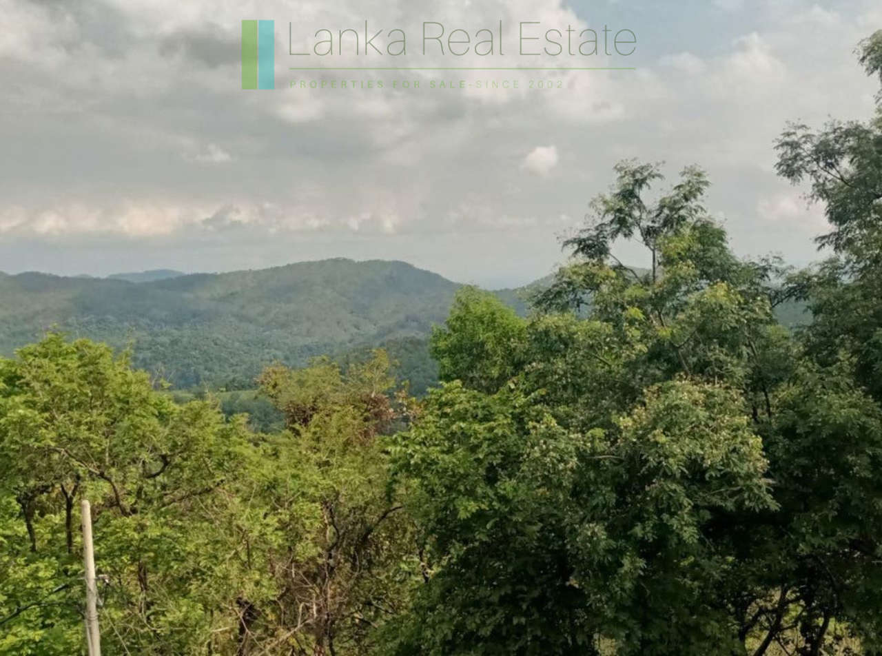 Stone built house on 10 acres in hill country