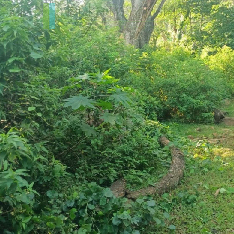 Exceptional ten acres in hill country
