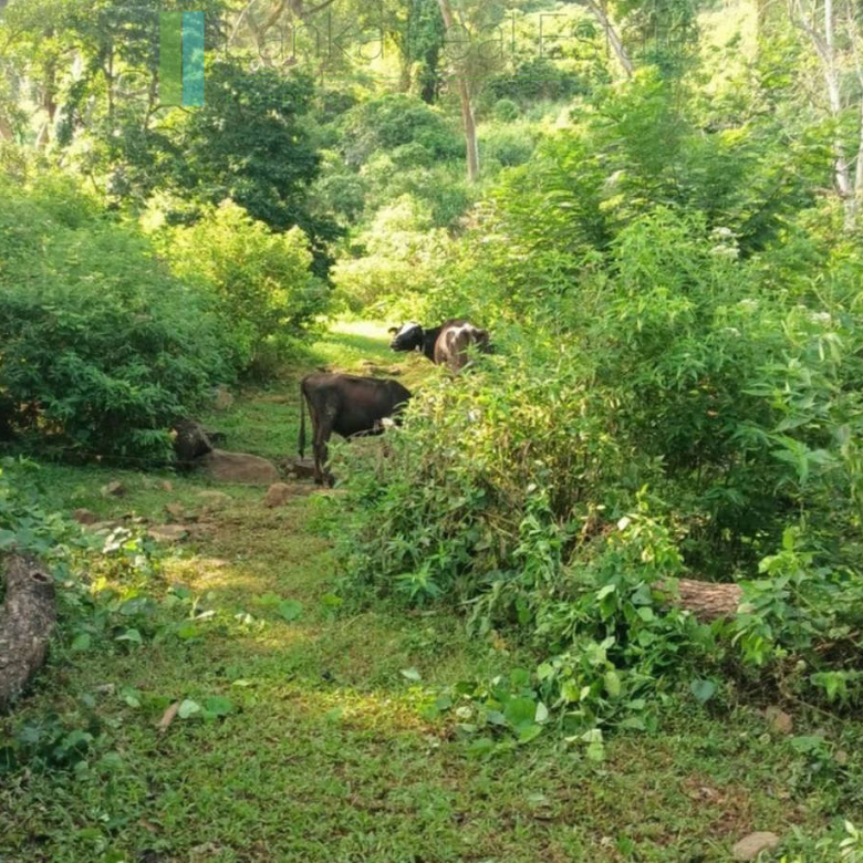 Exceptional ten acres in hill country