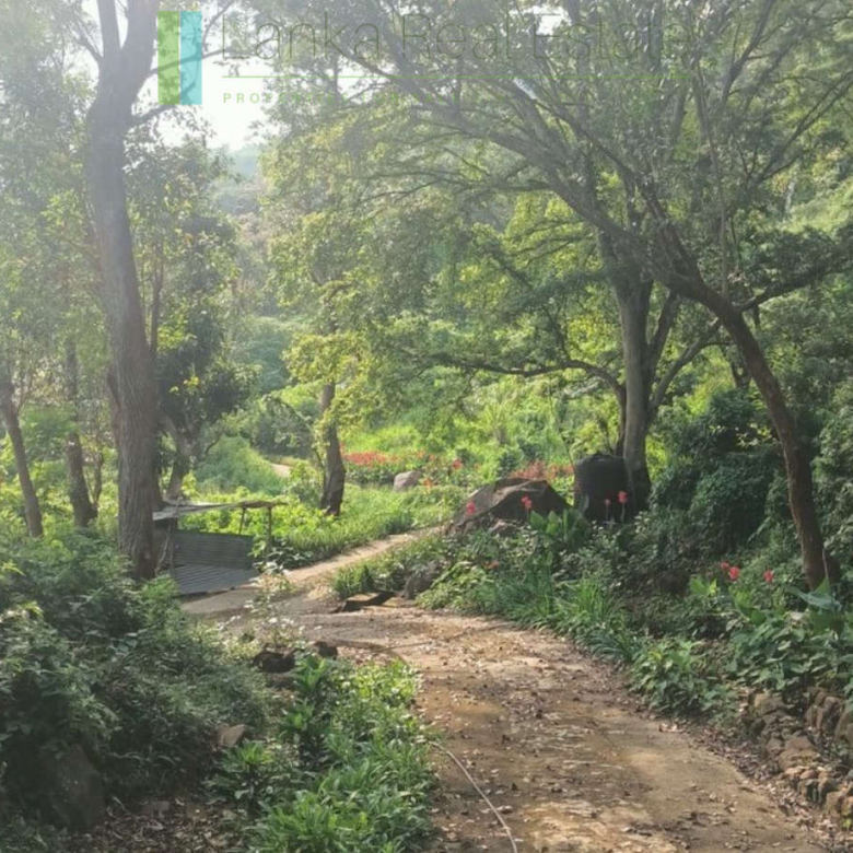 Exceptional ten acres in hill country