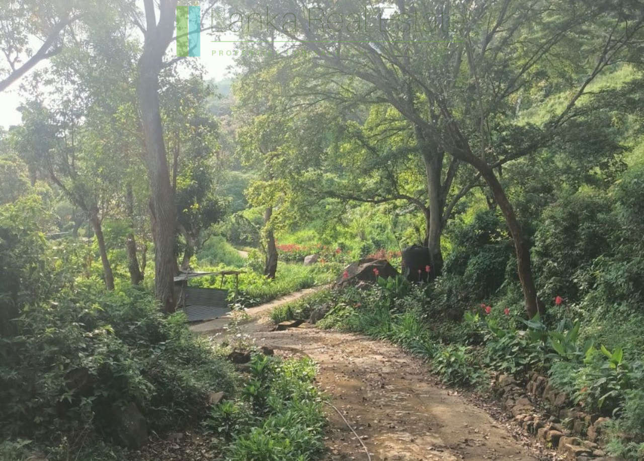Exceptional ten acres in hill country