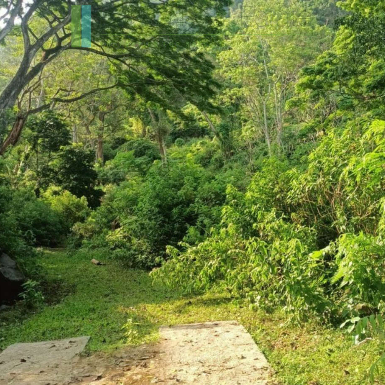 Exceptional ten acres in hill country