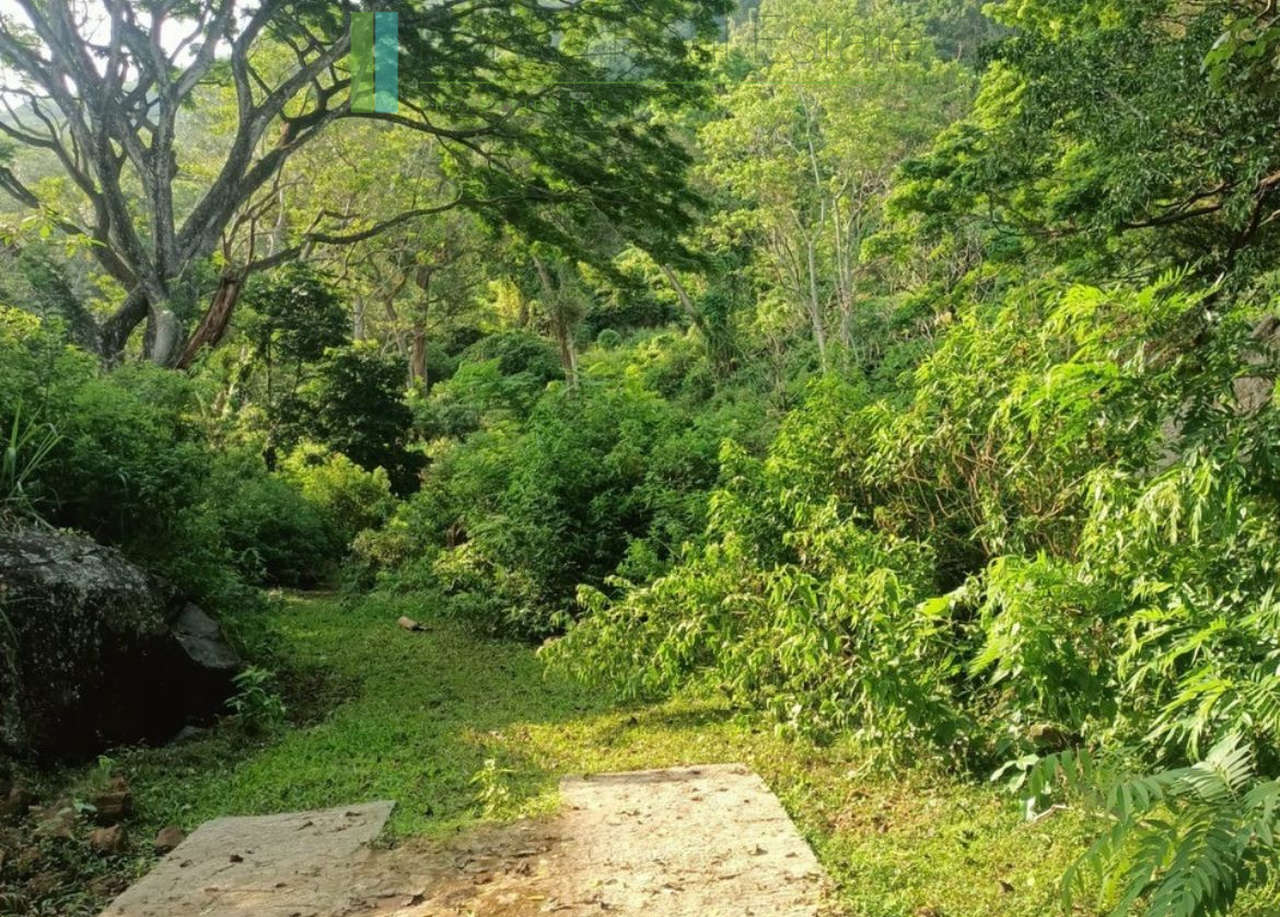 Exceptional ten acres in hill country