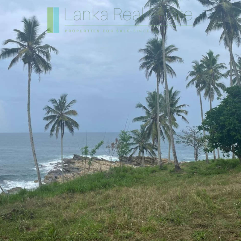 One and a half acres of Tangalle beachfront