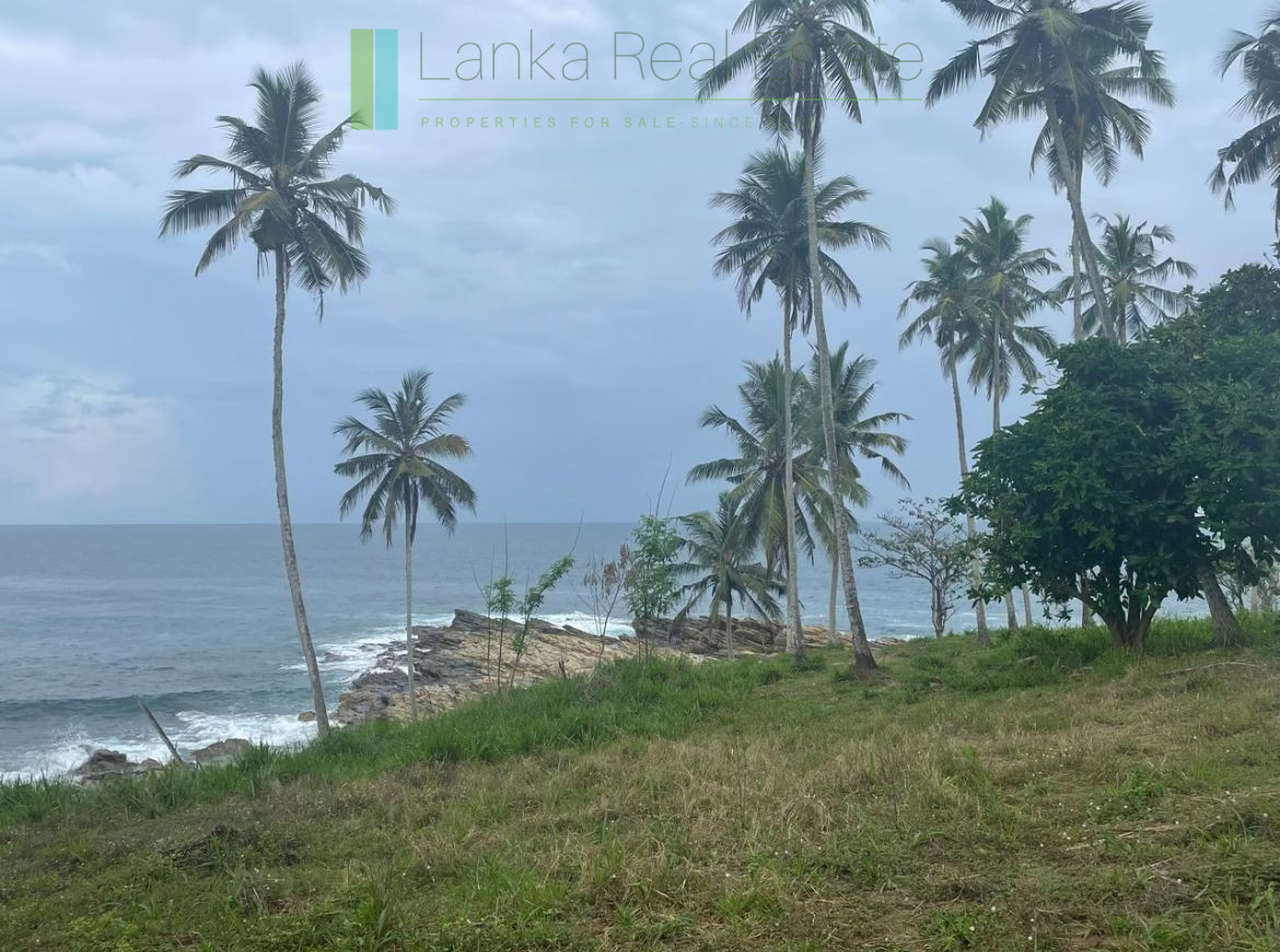 One and a half acres of Tangalle beachfront