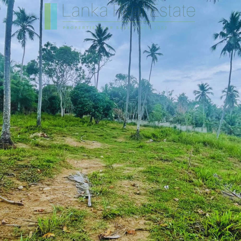 One and a half acres of Tangalle beachfront