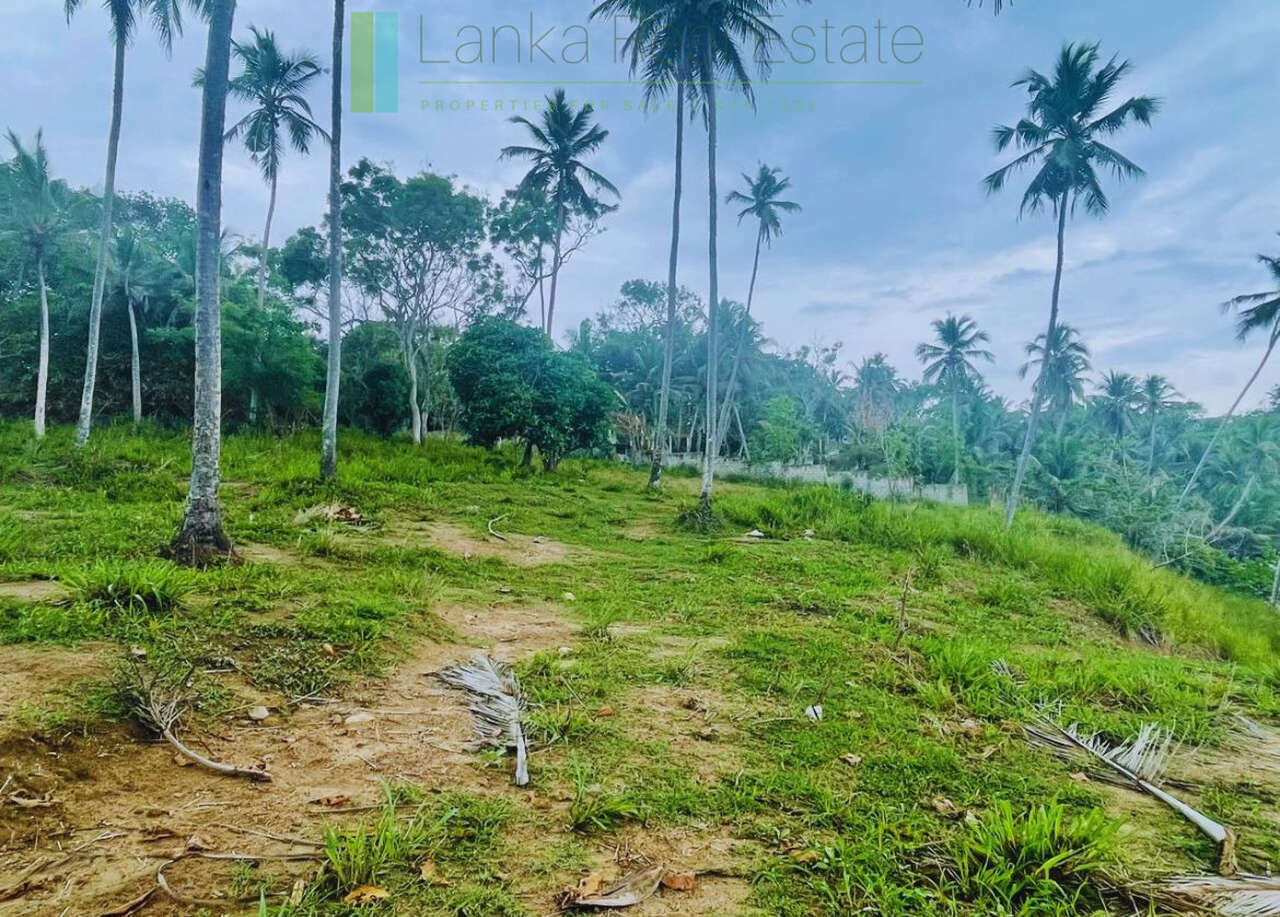 One and a half acres of Tangalle beachfront